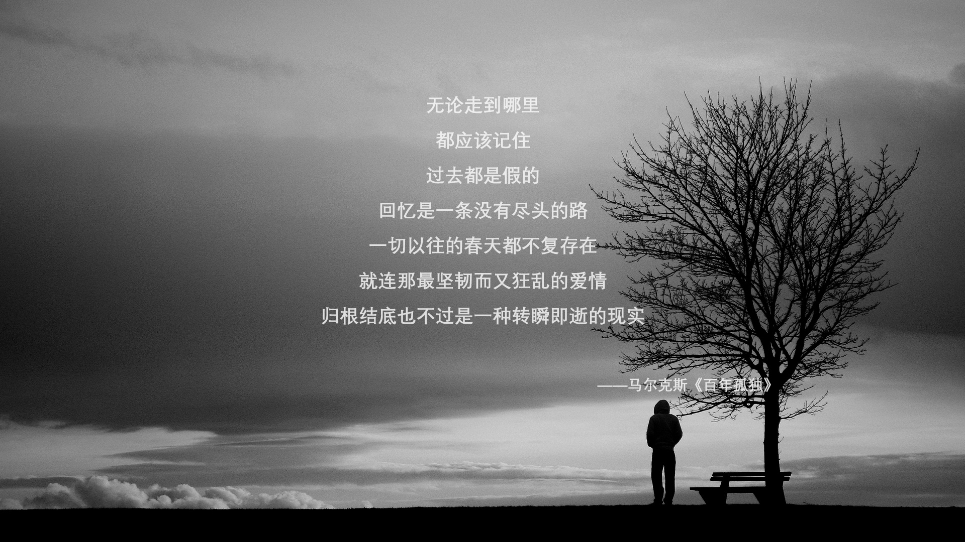 _森林狼士气高涨,向季后赛挺进_,森林狼队比赛