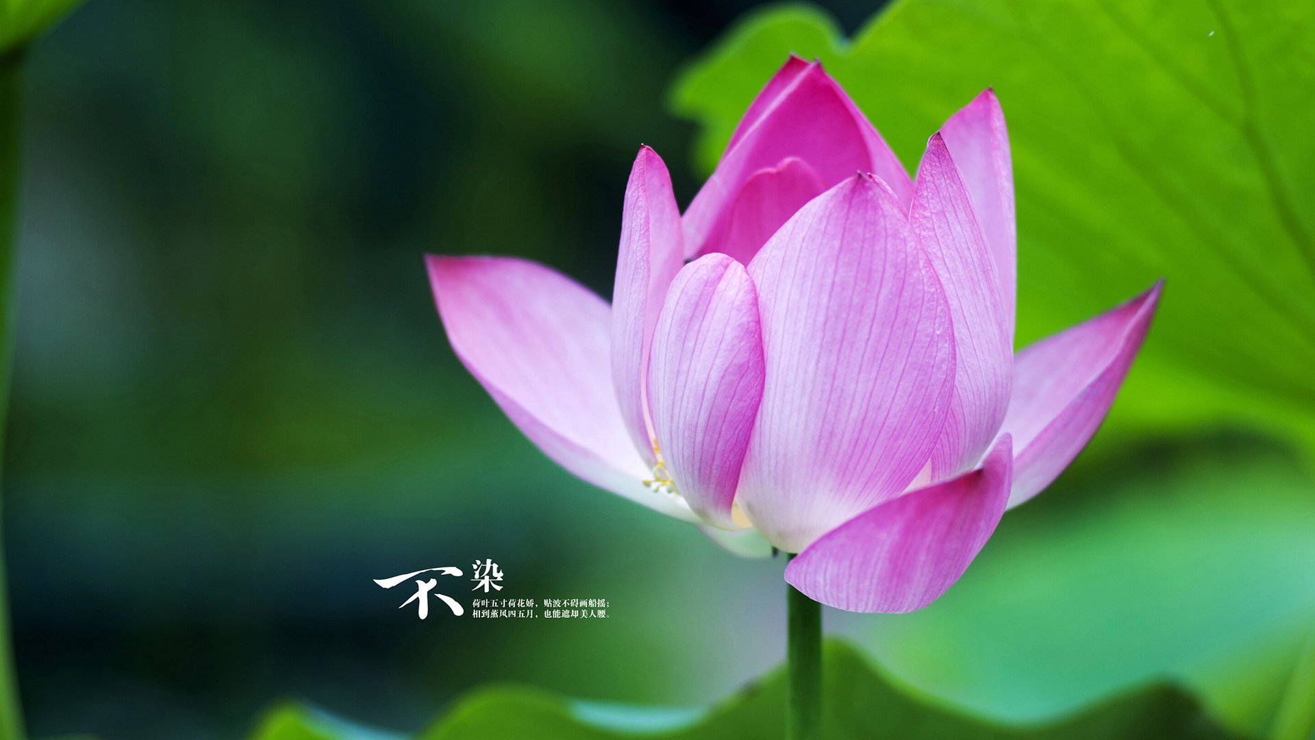 全国青少年“拼搏青春”篮球技能大赛在杭州全面展开，发掘更多潜力股