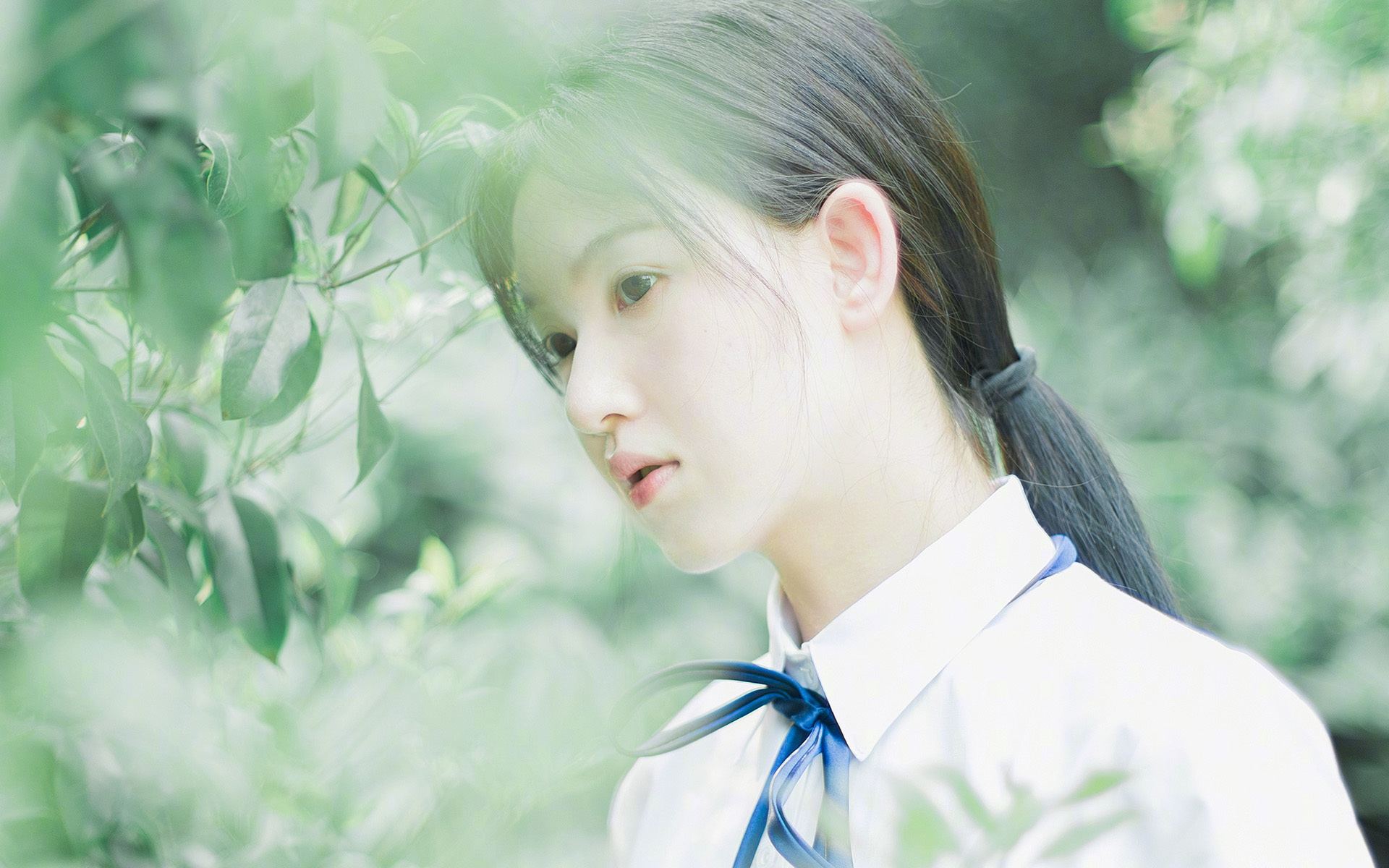 _户外极限飞行表演:挑战天际边界_,飞行 极限运动