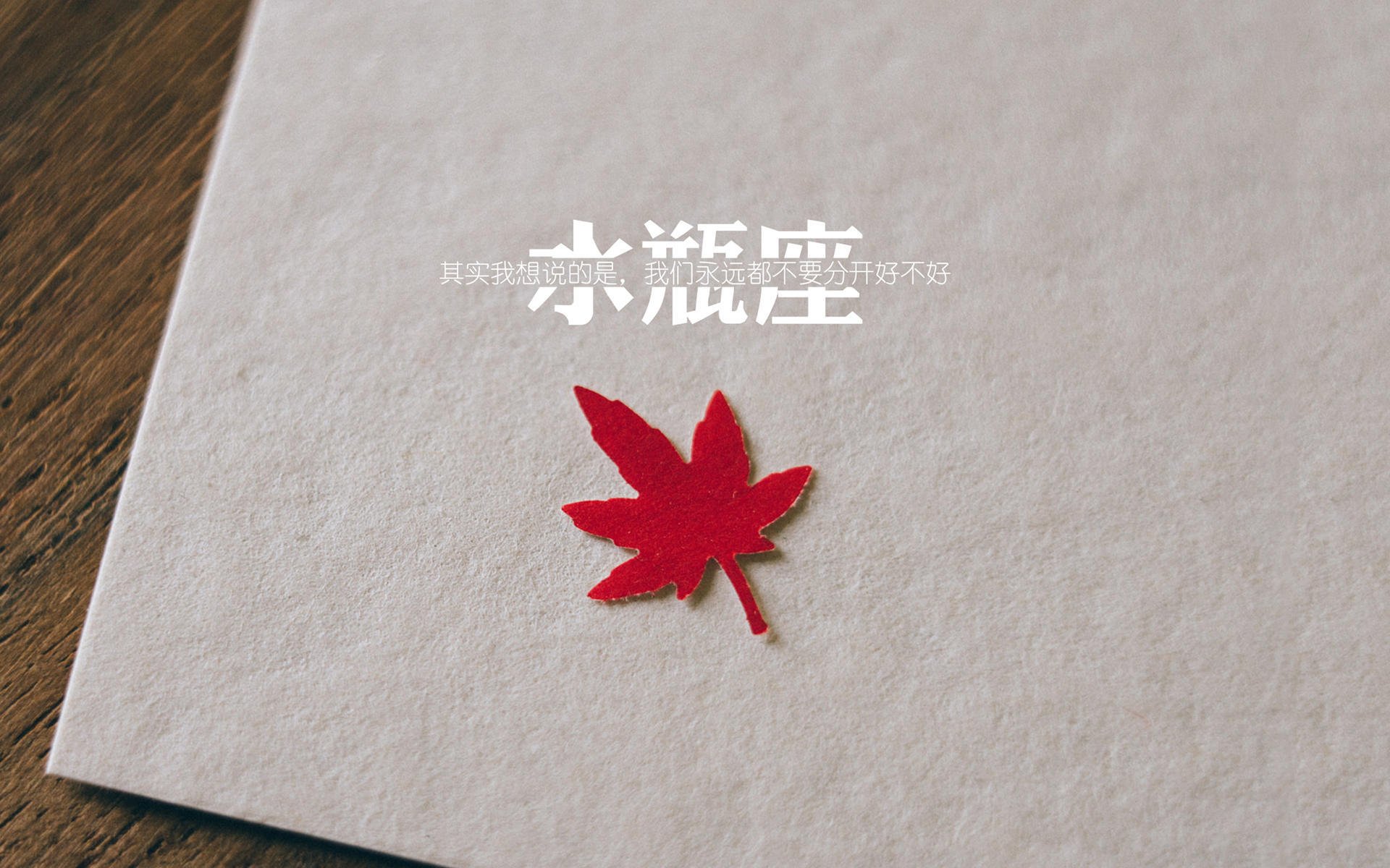 “中国足球新星:从校园到职业舞台的蜕变”,中国足球新人排名