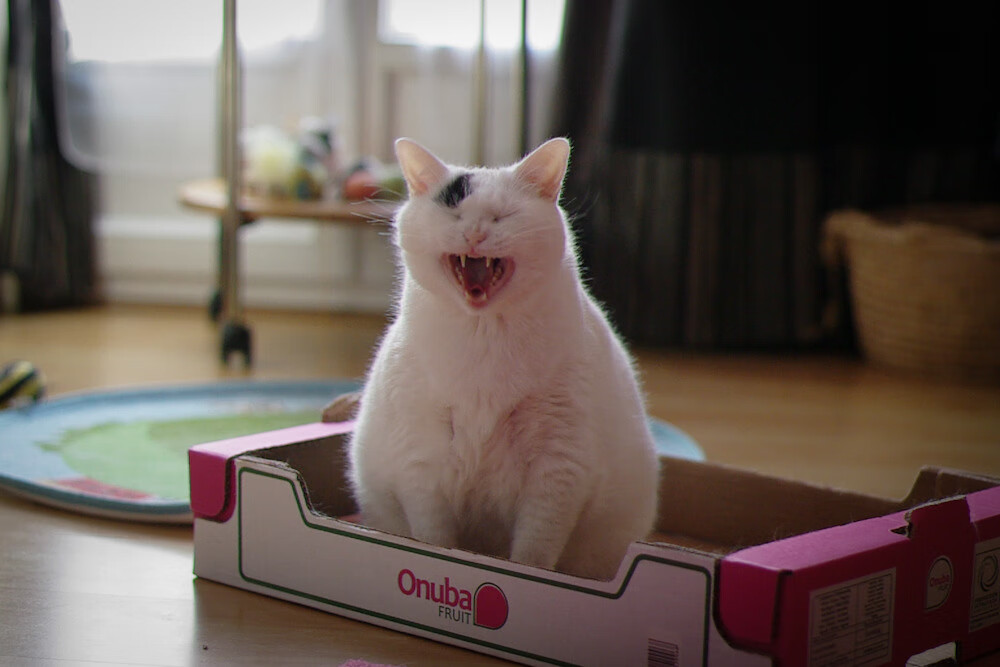 爱游戏多端接入-史上最脏的场面：球场恶战留给谁的记忆？，球场脏话